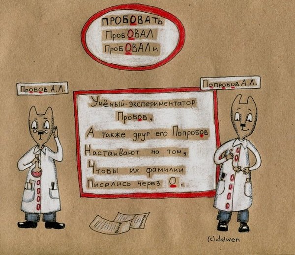 правила русского языка в котах