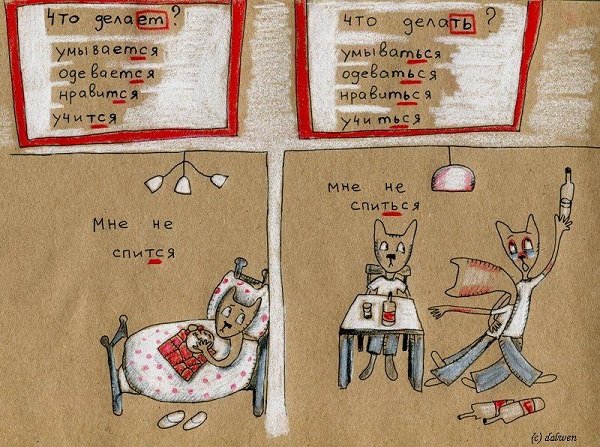 правила русского языка в котах