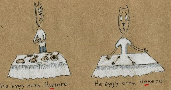 Эти котики научат тебя писать без ошибок! Так правила русского языка ты точно еще не учил…