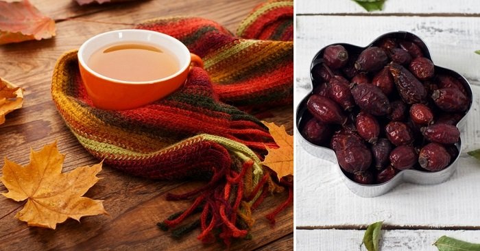 правильное питание на день