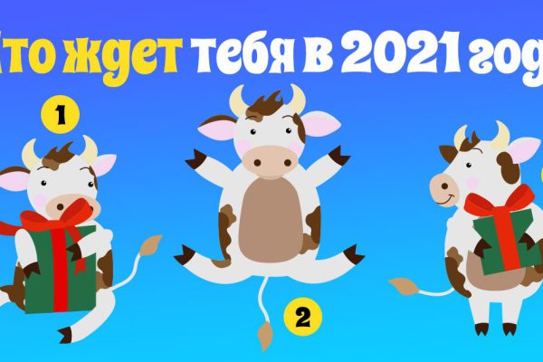 Какие сюрпризы готовит для тебя грядущий год