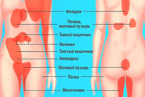 Путеводитель по брюшной полости: не играй в гадалку, когда настигнет боль!