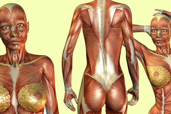 Сходив на консультацию к психологу, она похудела на 7 кг. Почему так?