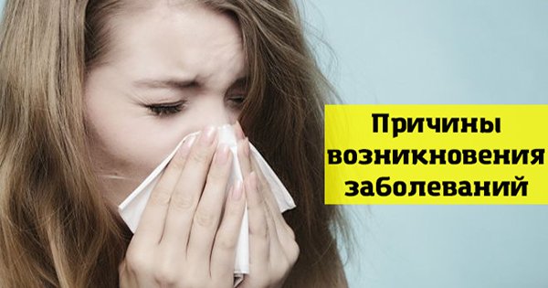 Узнай истинную причину всех заболеваний! Вот на что нужно обратить внимание в первую очередь…