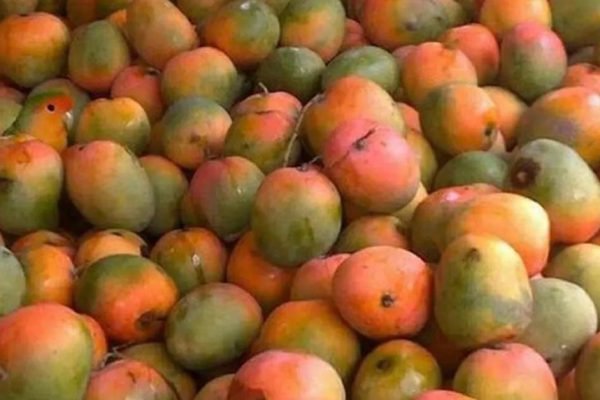 Только самые внимательные смогут найти здесь попугая, попробуй рассмотреть пернатого