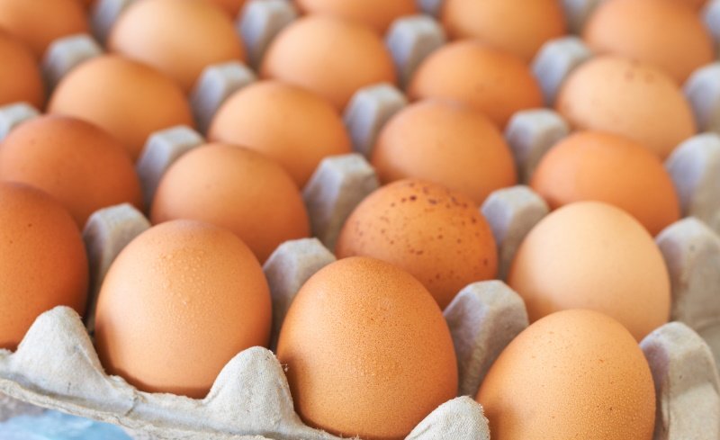 Какие закуски к новогоднему столу можно приготовить из обыкновенных яиц