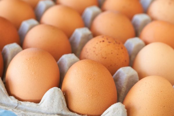 Full tray of freshly laid free range organic eggs