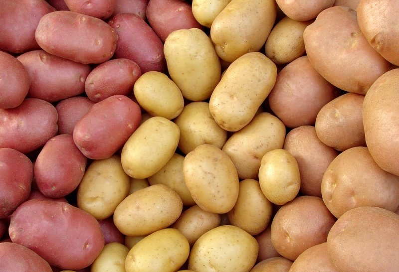 приготовление картофельного пюре пошагово
