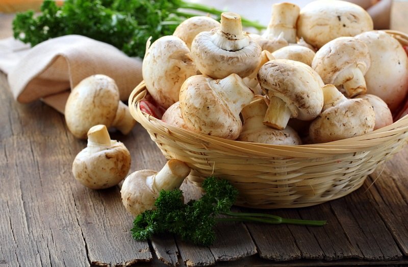 маринованные грибы рецепт шампиньоны