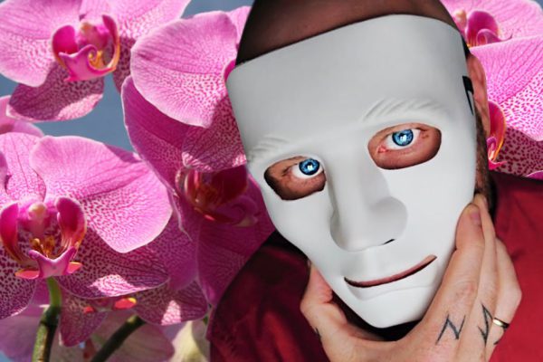 Мнение Владимира Древса о том, что сейчас происходит