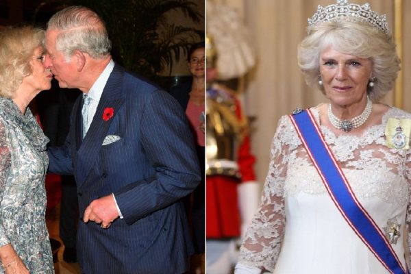 Принц Чарльз и его Камилла: женщины всегда получают свое, даже если нужно ждать 35 лет!