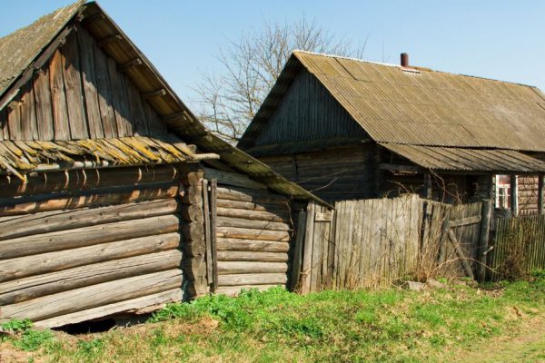 Почему сто и более лет назад деревни нашей страны отличались отсутствием любой растительности