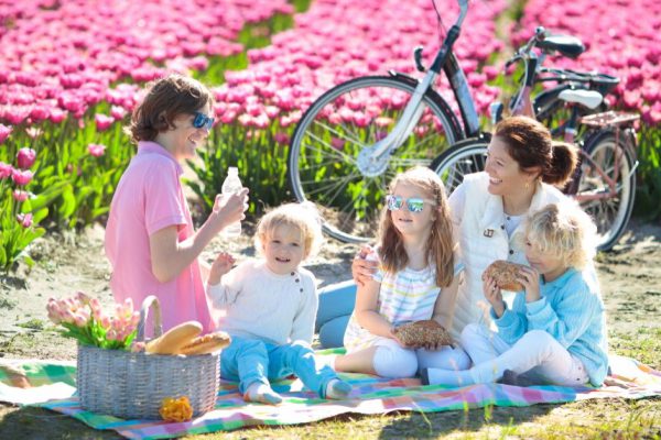 Какое питание можно считать образцовым и почему