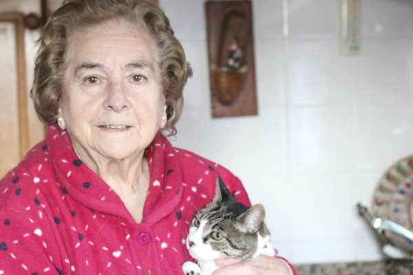 Что указывает на развитые мыслительные способности после шестидесяти лет