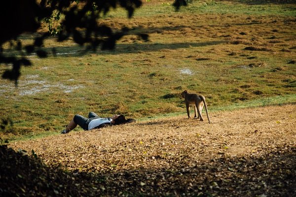 мужчина и лев