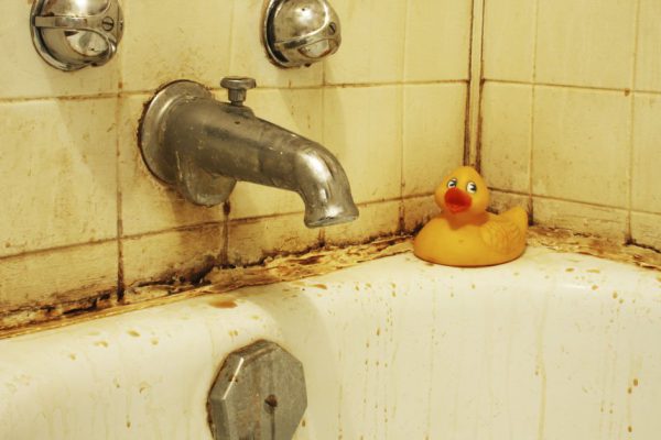 Ситуация свекрови, требующей ремонт в санузле вместо свадьбы сына