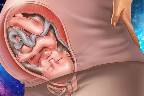 Вот как будут рождаться твои внуки! 5 самых модных и желанных способов родить.