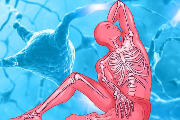 Упражнения для продления жизни