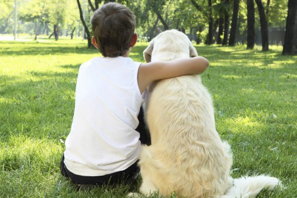 Почему собакам отведен столь короткий земной путь