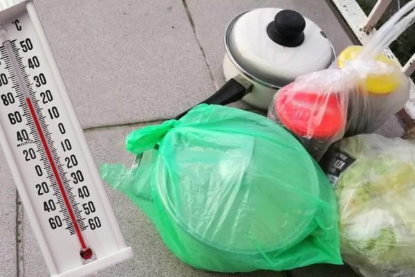 Если ты планируешь регулярно оставлять еду на балконе, тебе нужно кое-что узнать