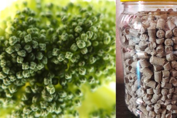 Плохой кишечник портит кожу, иммунитет и нарушает работу мозга. Чтобы не допустить этого — употребляй продукты-помощники!