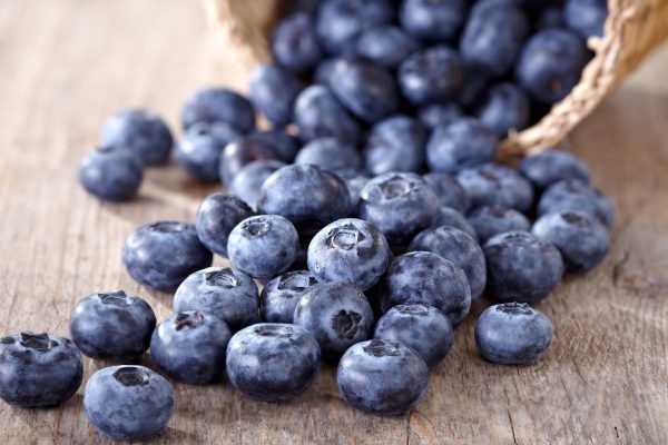 fresh blueberries