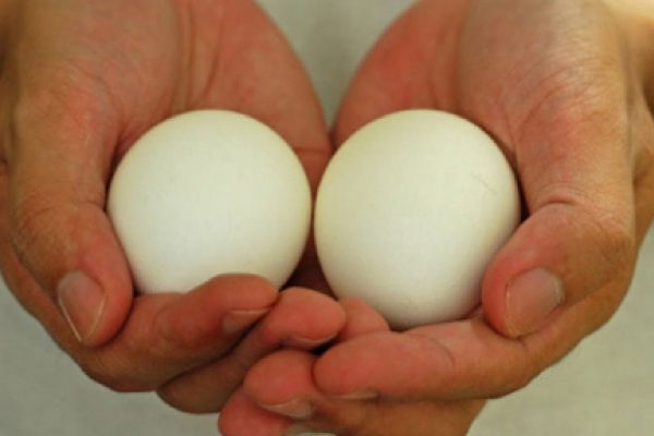 Сочетания продуктов для похудения: яйца с болгарским перцем помогают в краткие сроки постройнеть