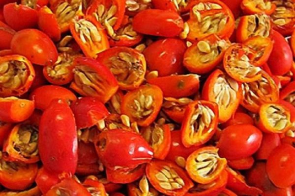 Советский метод, который восстанавливает зрение за 7 дней!