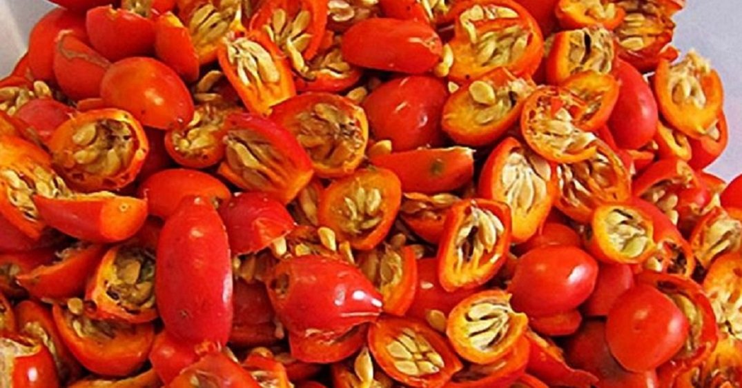 Профилактика нарушения зрения