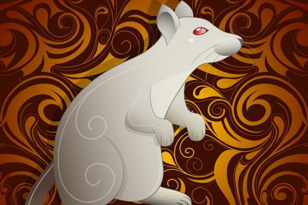 Rat as symbol for year 2020 by Chinese traditional horoscope with orient ornament on backdrop