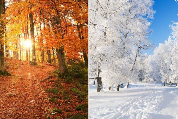 Синоптики серьезно настроены, осень будет беспощадно холодной