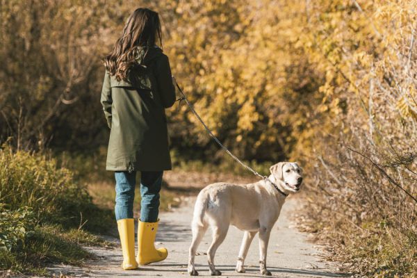 Однажды вечером после ссоры с мужем я пошла выгулять собаку, а после прогулки так и не вернулась домой