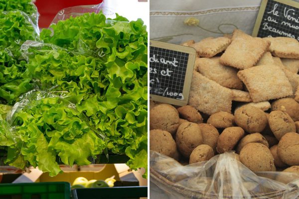 На что указывают шероховатости, крупинки и бороздки на скорлупе яиц