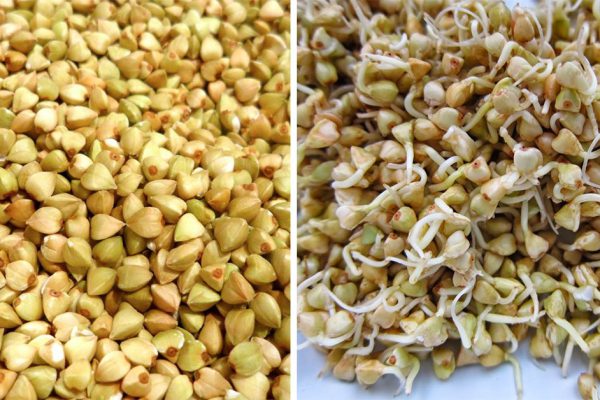 Не понимала, зачем соседка проращивает гречку, пока сама не попробовала… Кладезь витаминов!