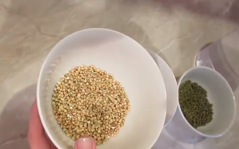 проращивание пшеницы