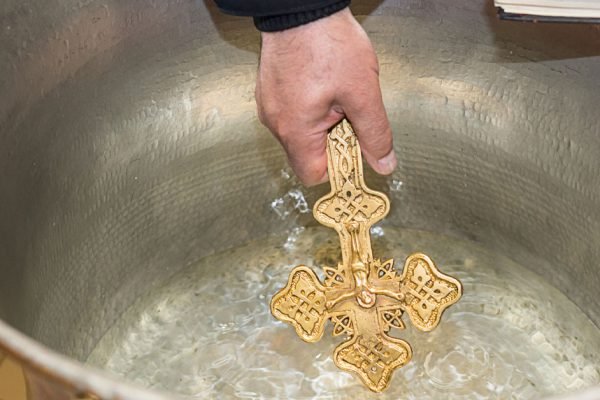 Прошлогодней святой водой я всегда поливала растения, но в этом году сделала так, как велел батюшка