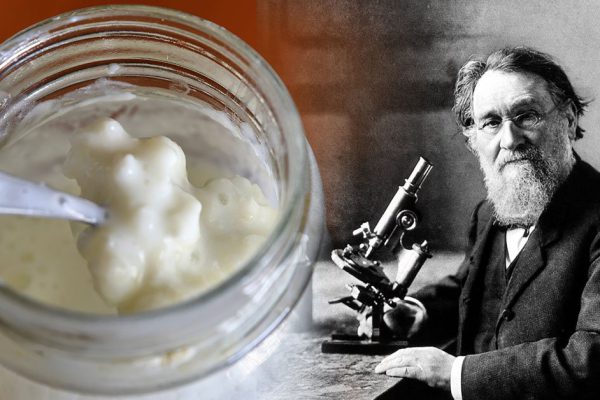 Нобелевский лауреат Илья Мечников создал напиток, что задержит подругу с косой в пути