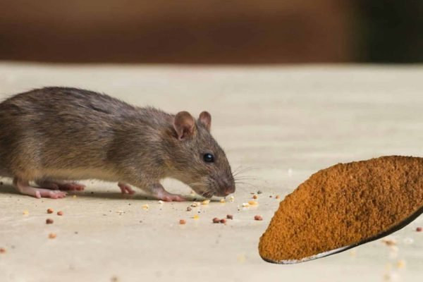 Мыши боятся этого как огня, достаточно одного применения, чтобы больше не видеть их в своем доме