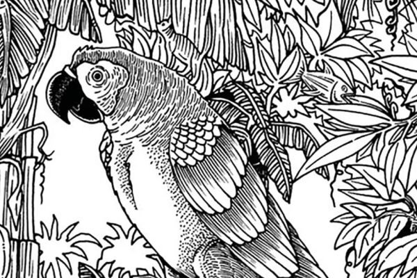 Бразильский тест, который всего за 1 минуту покажет, стоит ли тебе опасаться деменции