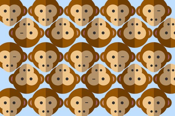 Взгляни на картинку и ответь, сколько обезьян флиртуют с тобой