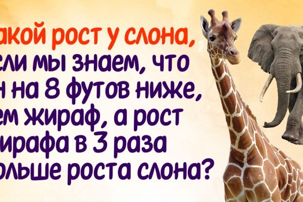 Если хочешь проверить свой интеллект, ответь правильно на все вопросы, еще никому не удавалось набрать больше 7 баллов