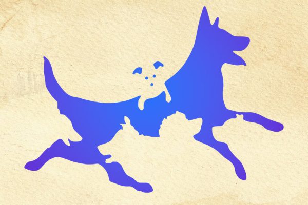 Количество собак, которое ты сумел рассмотреть, безошибочно определит твой психологический возраст