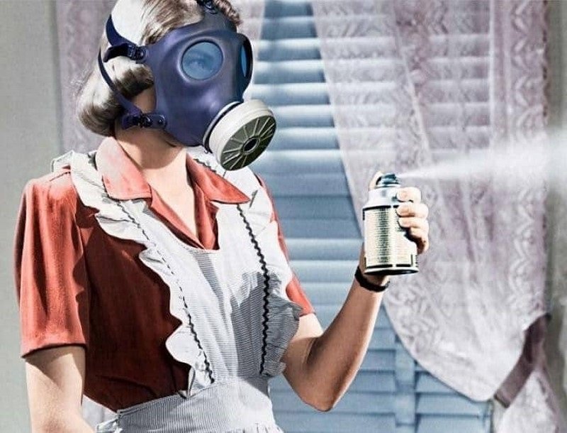 домашний пылевой клещ