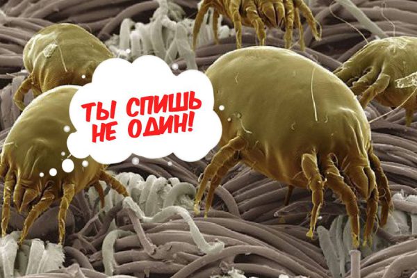Ты спишь не один! В твоем матрасе — миллиарды опасных обитателей, а ты даже и не знаешь…