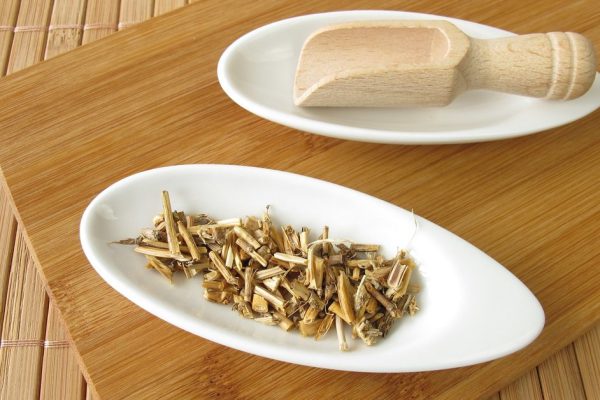 Свойства пырея ползучего для здоровья