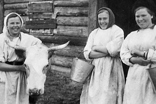 Какими были советские доярки и почему сейчас они вызывают искреннее восхищение