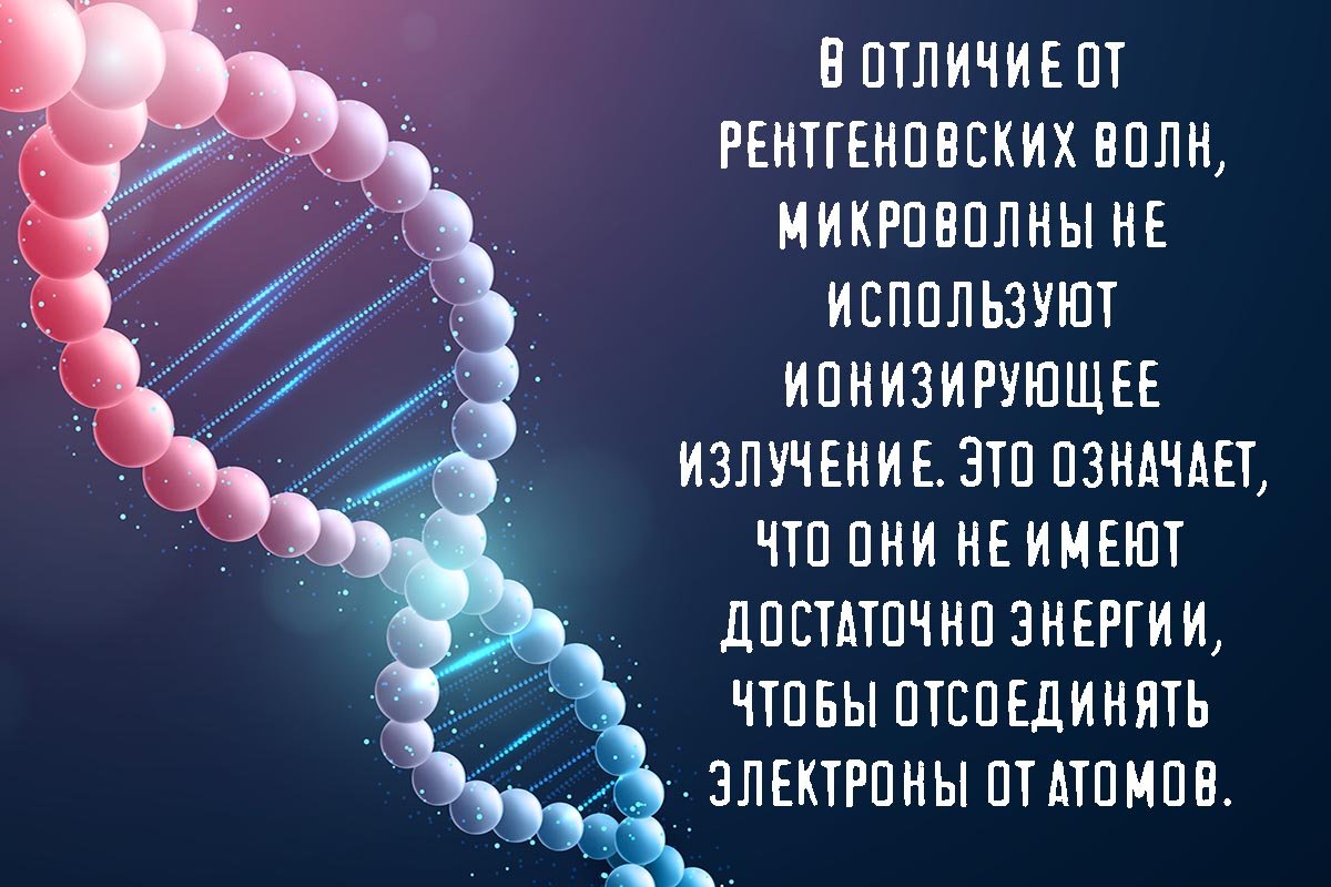 Чем мы рискуем, разогревая пищу в микроволновке микроволновке, время, приготовления, может, излучение, DepositphotosОднако, более, нужно, зависит, нагревания, пластика, говорит, Однако, исследование, микроволновку, первую, блюдо, флавоноидов, вещества, пластиковой