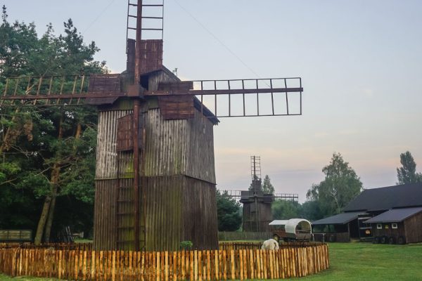 Побывала в Польше, увидела, как устроены их деревни, и поняла, что наши родные села обречены