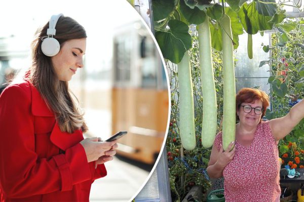 Еле успела на последний автобус в село, ведь хотела рассказать лично маме радостную весть