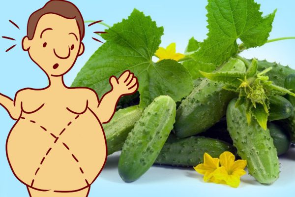 Почему ранней весной стоит налегать на огурцы